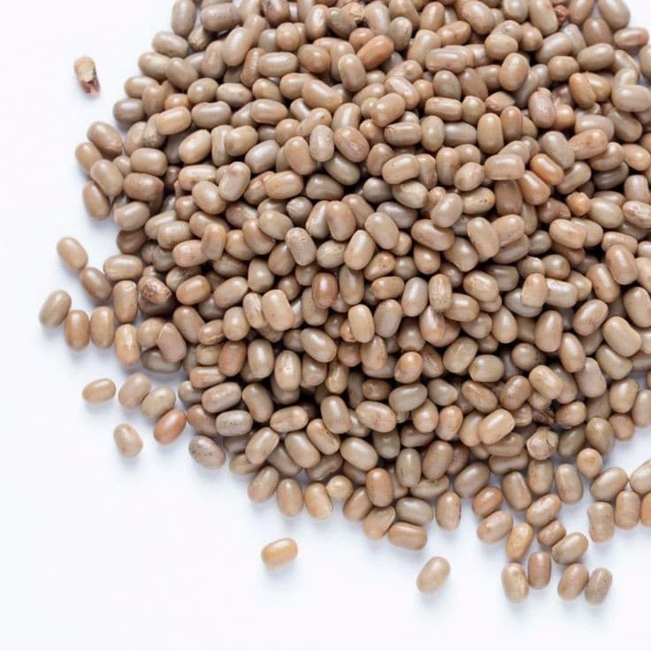 Vigna aconitifolia(moth beans) extract